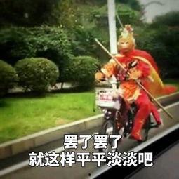 搞笑交警表情,笑翻网友！