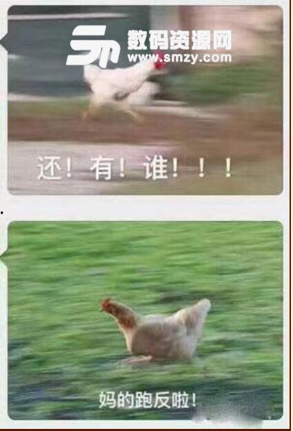 狂奔跑的表情包,表情包中的速度与激情