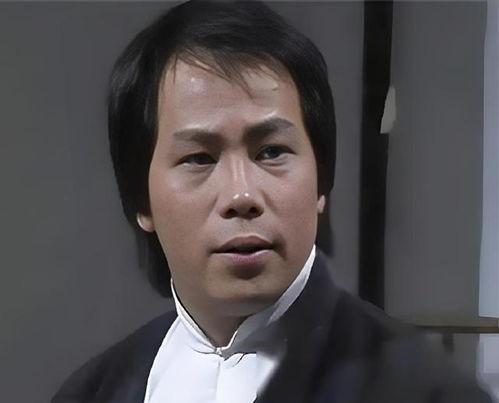 香港武打明星男演员,香港武打巨星风采录